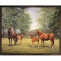 Thumbnail for Paarden met Veulens - Diamond Painting - 40x50cm - Rond