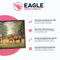 Thumbnail for Paarden met Veulens - Diamond Painting - 40x50cm - Rond