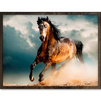 Thumbnail for Prachtig Paard - Diamond Painting - 30x40cm - Rond