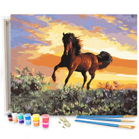 Thumbnail for Prachtig Paard - Schilderen op Nummer Pakket - 50x40cm