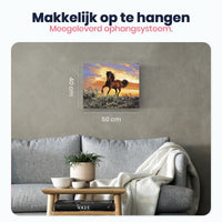 Thumbnail for Prachtig Paard - Schilderen op Nummer Pakket - 50x40cm