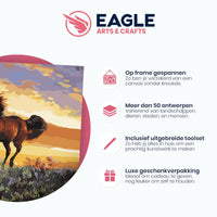 Thumbnail for Prachtig Paard - Schilderen op Nummer Pakket - 50x40cm