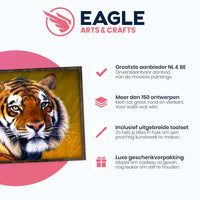 Thumbnail for Tijger - Diamond Painting - 40x50cm - Vierkant