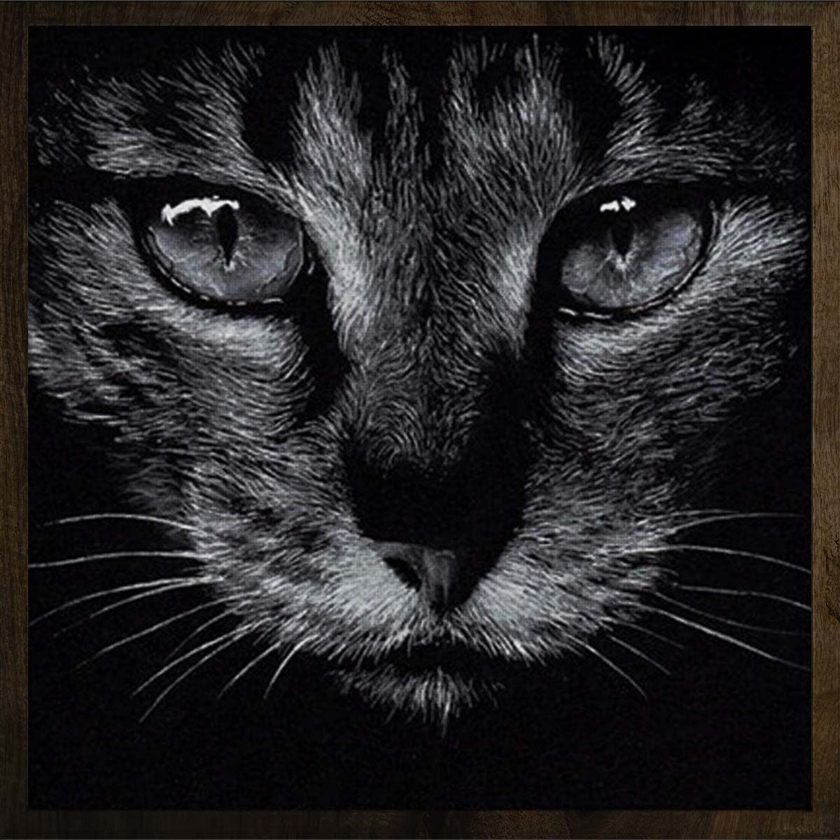 Кот на черной бумаге