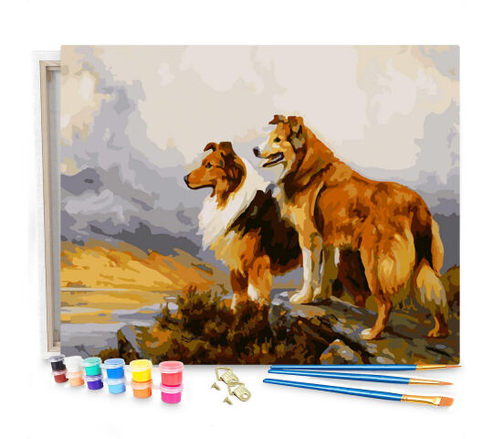 uitlijning combineren Profeet Twee Prachtige Honden - Schilderen op Nummer Pakket - 50x40cm | EAGLE.eu